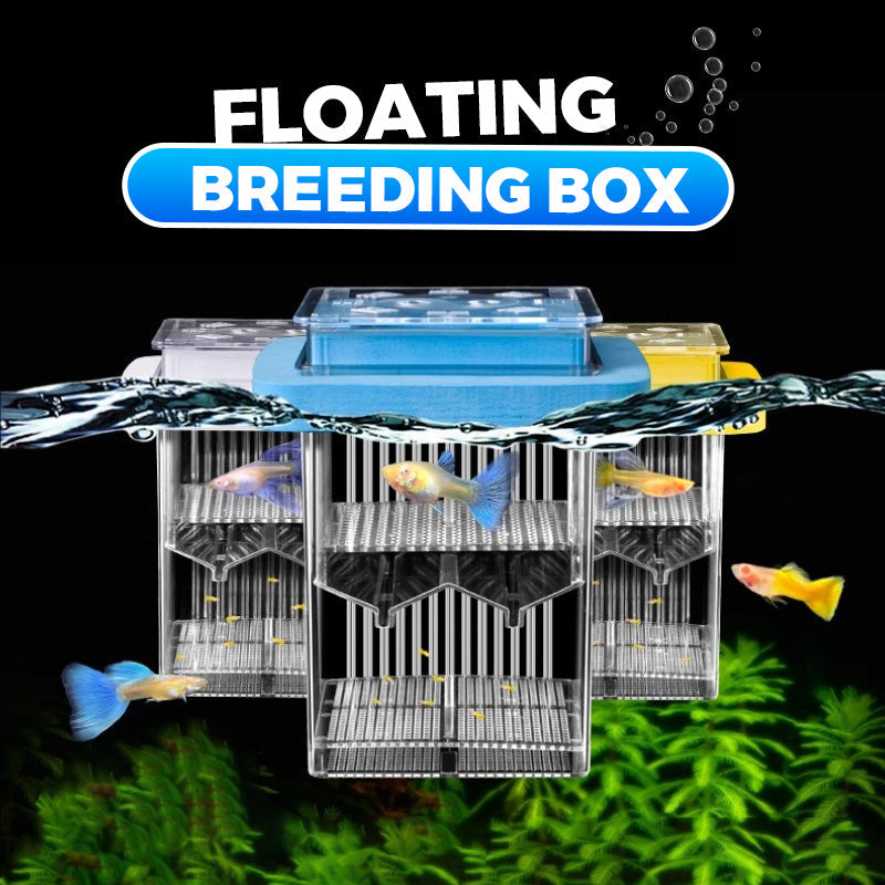 🐟💧 Nur für kurze Zeit zum halben Preis! 4-lagiger, abnehmbarer Acryl-Fischbrutkasten 🛡️ — Mit Schutzfunktion für sichere Aufzucht Ihrer Jungfische 🐠✨