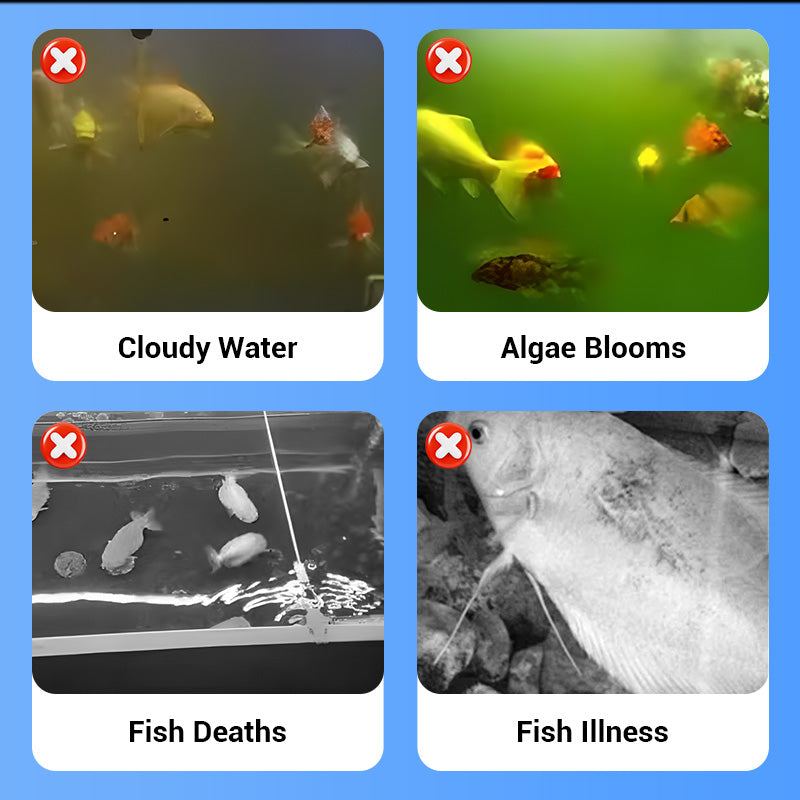 🐟💧 Nur für kurze Zeit zum halben Preis! 4-lagiger, abnehmbarer Acryl-Fischbrutkasten 🛡️ — Mit Schutzfunktion für sichere Aufzucht Ihrer Jungfische 🐠✨