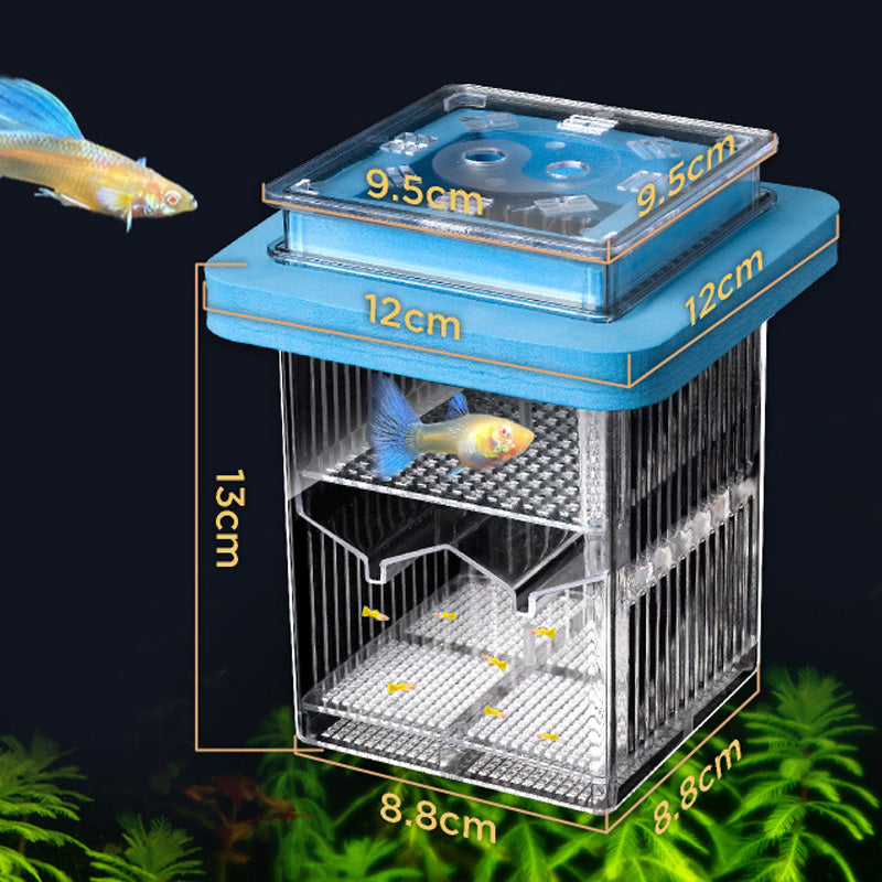 🐟💧 Nur für kurze Zeit zum halben Preis! 4-lagiger, abnehmbarer Acryl-Fischbrutkasten 🛡️ — Mit Schutzfunktion für sichere Aufzucht Ihrer Jungfische 🐠✨