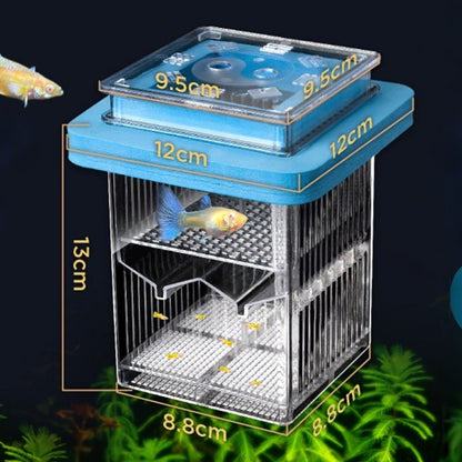 🐟💧 Nur für kurze Zeit zum halben Preis! 4-lagiger, abnehmbarer Acryl-Fischbrutkasten 🛡️ — Mit Schutzfunktion für sichere Aufzucht Ihrer Jungfische 🐠✨